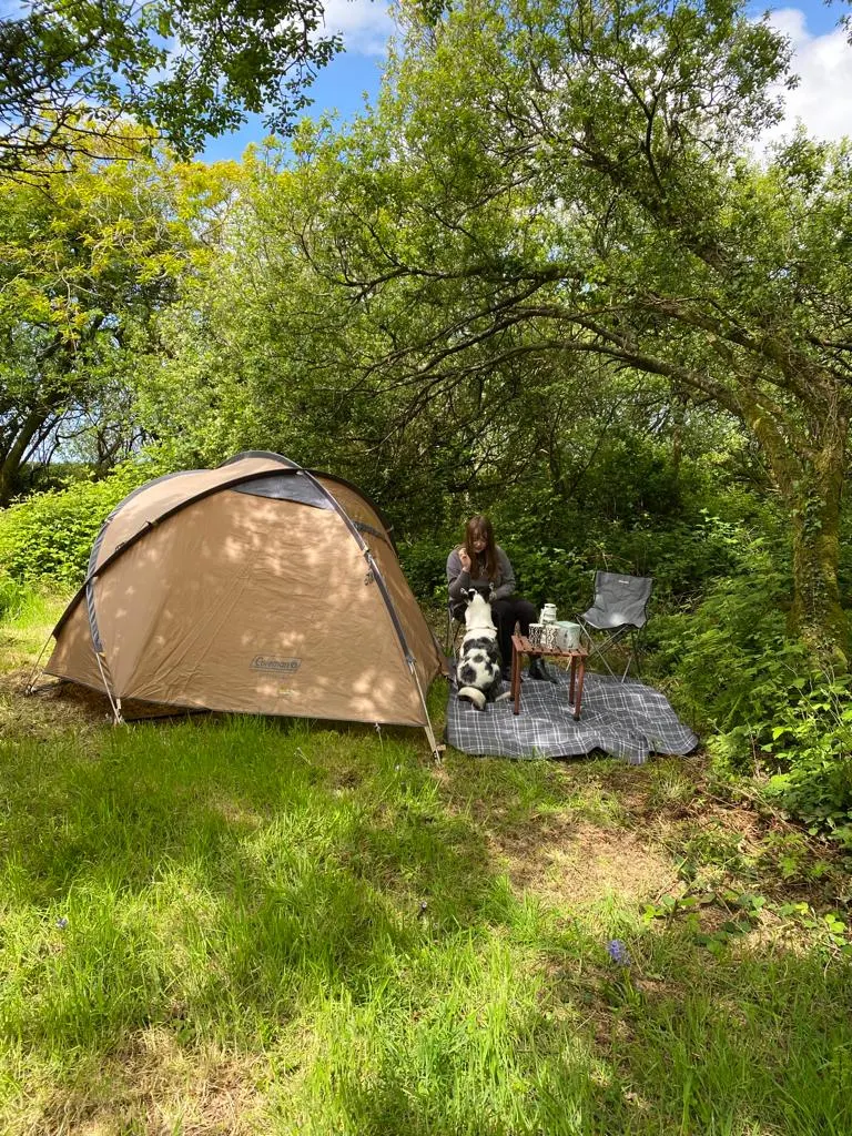 Fox Camping photo 2