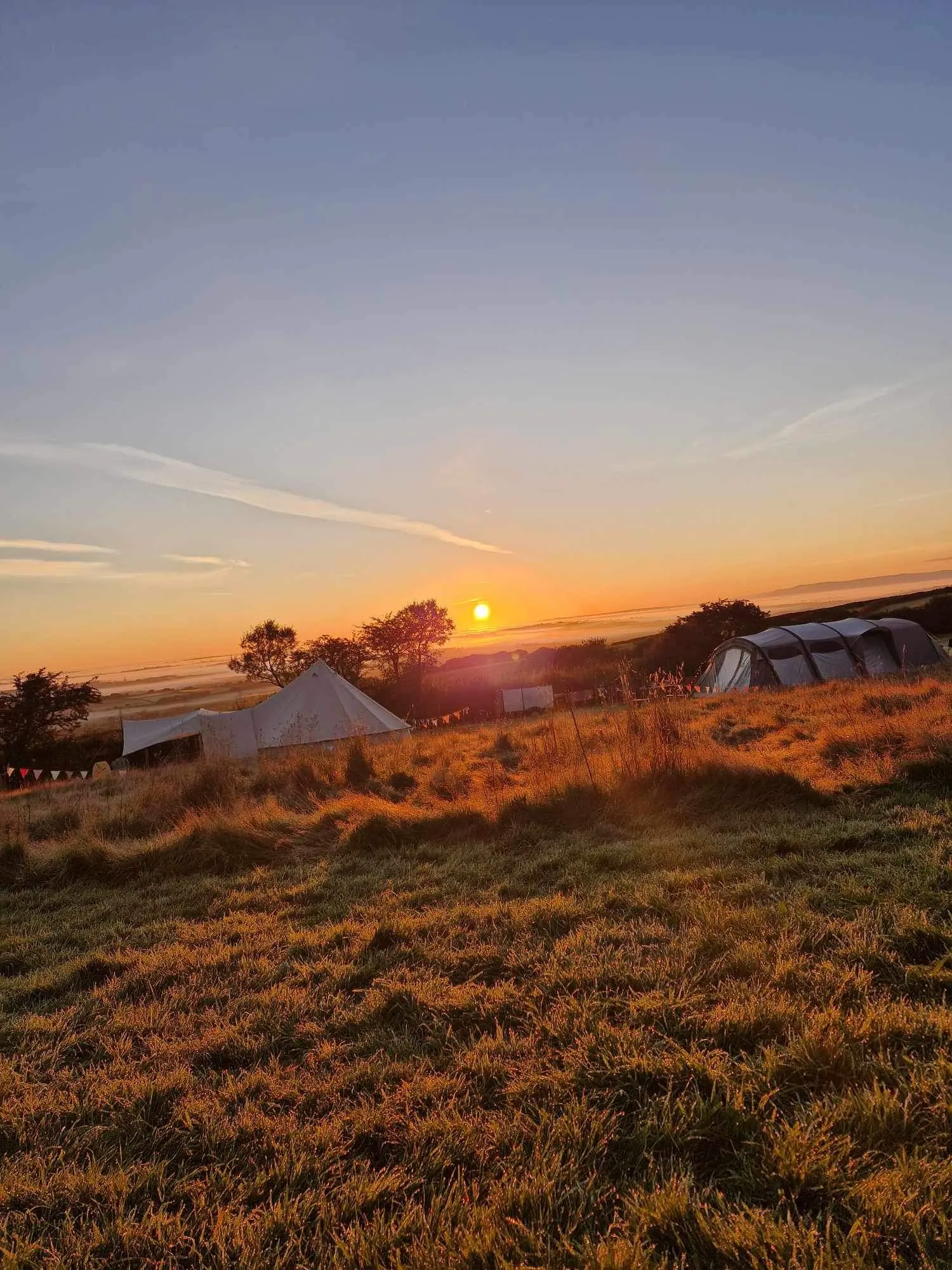 Fox Camping, site landscape