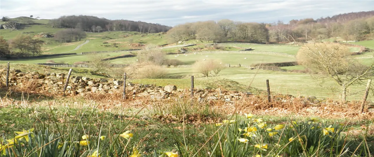 Black Beck Farm Holiday Caravans photo 2