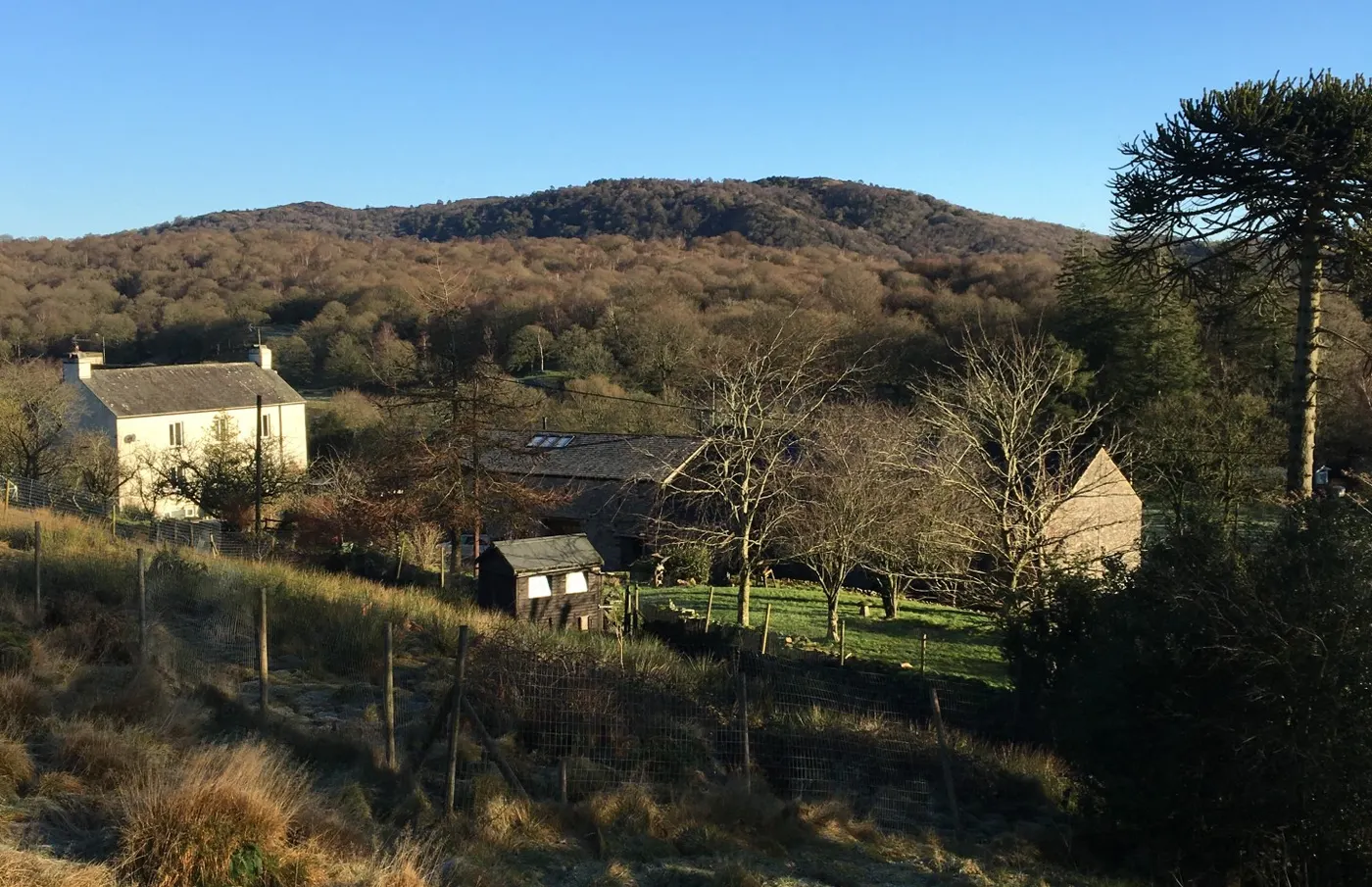 Black Beck Farm Holiday Caravans photo 5