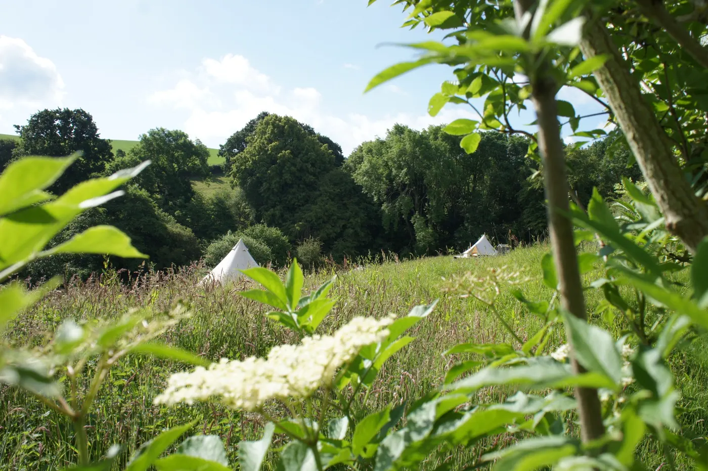 Hidden Valley Camping photo 5