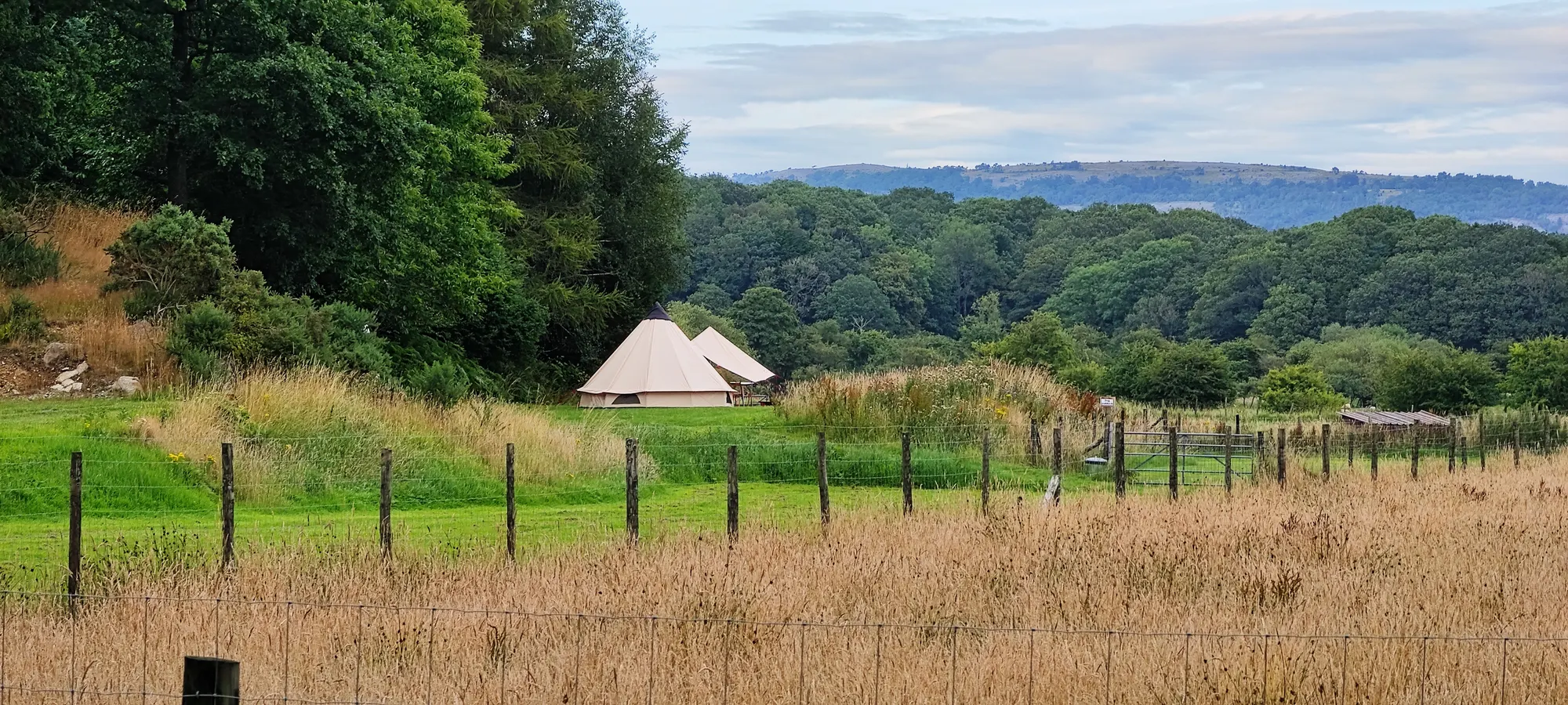 Noblewood Camping, glamping