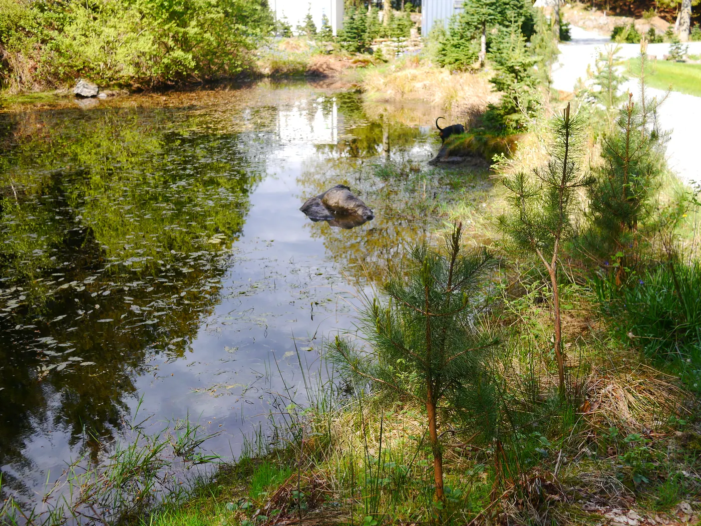 Noblewood Camping photo 3