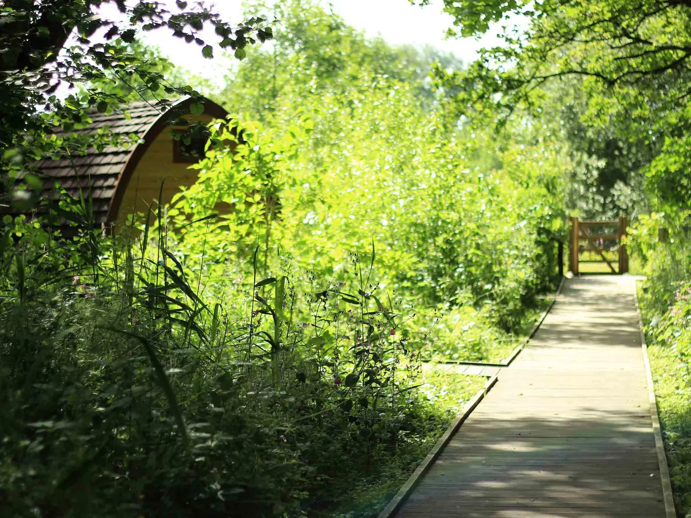 Deers Glade photo 3