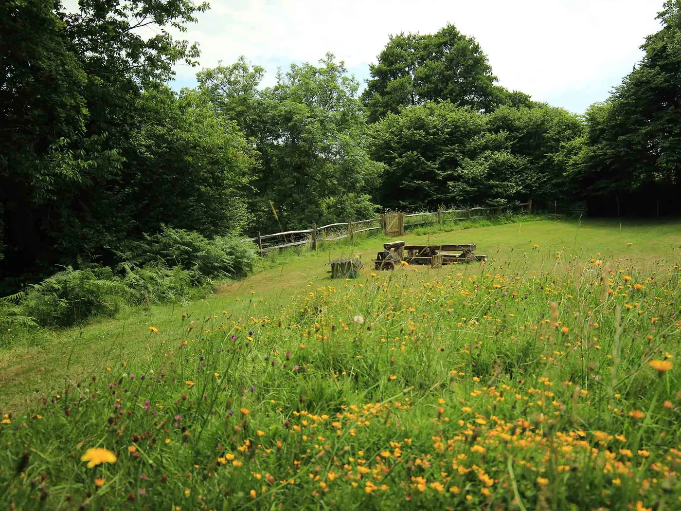 Wimbles photo 2