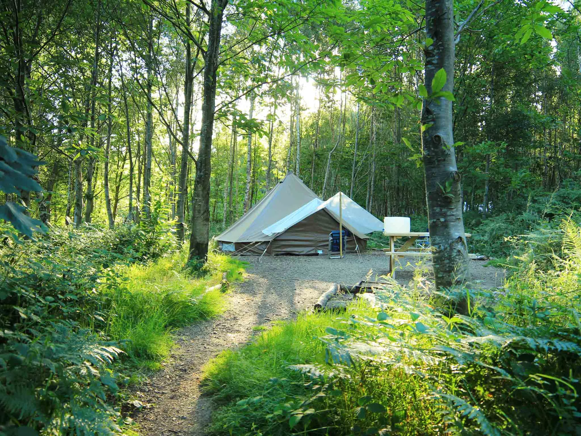 Beech Estate Campsite