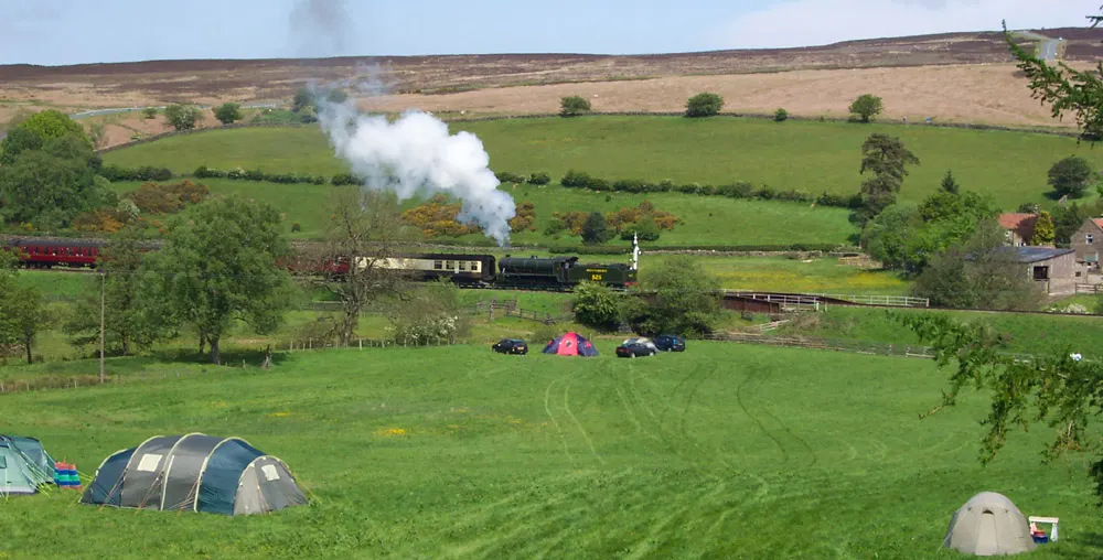Abbots House Farm Campsite, site landscape
