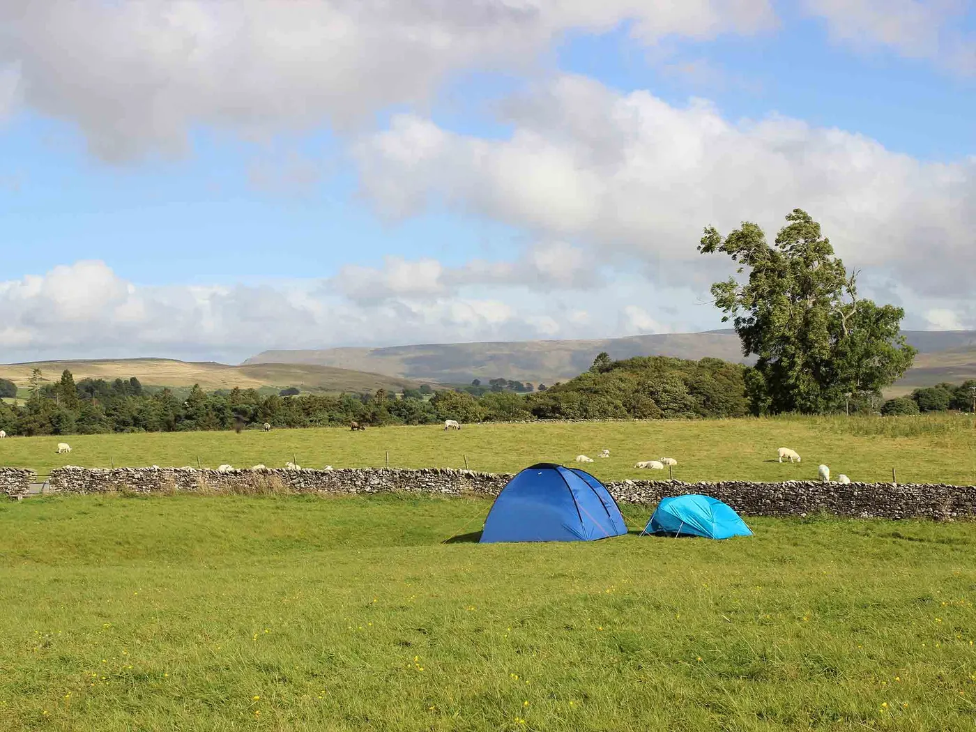 Low Greenside Farm Campsite photo 3