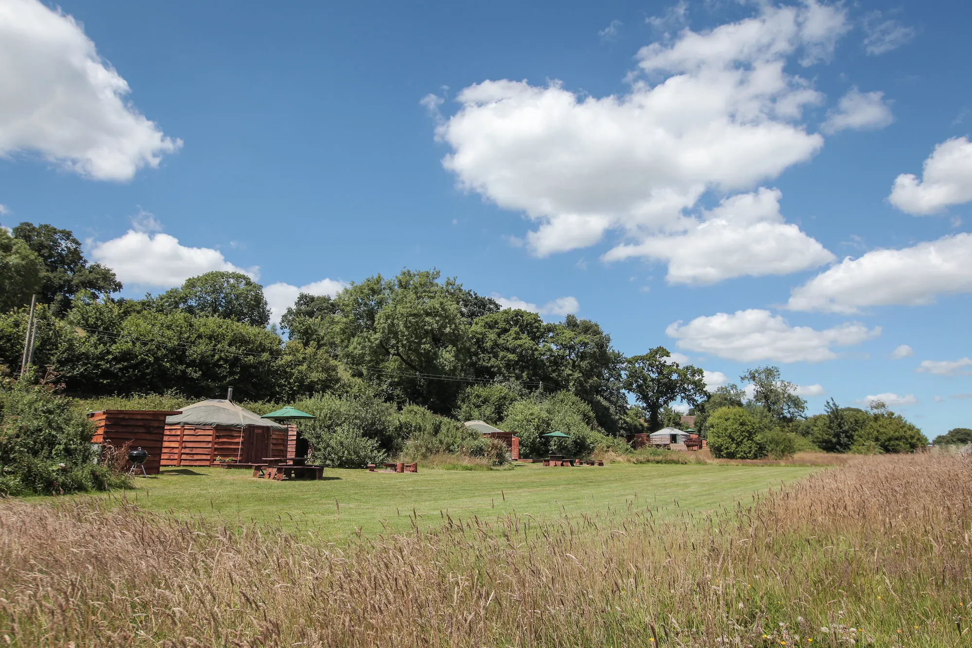 Blackdown Yurts