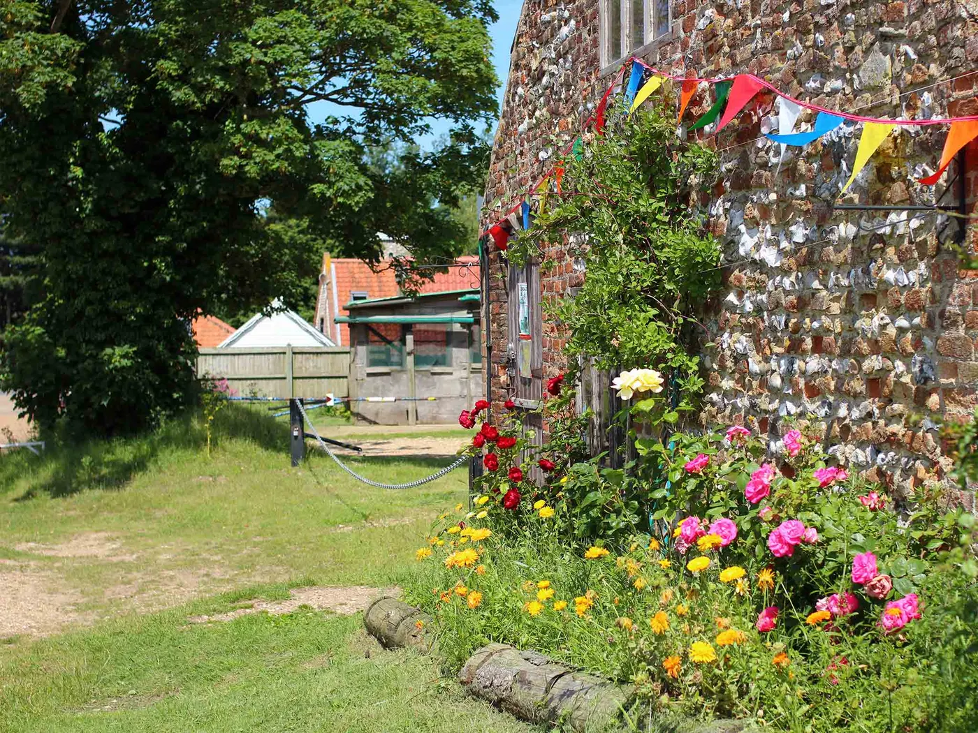 Deepdale Camping & Rooms photo 4