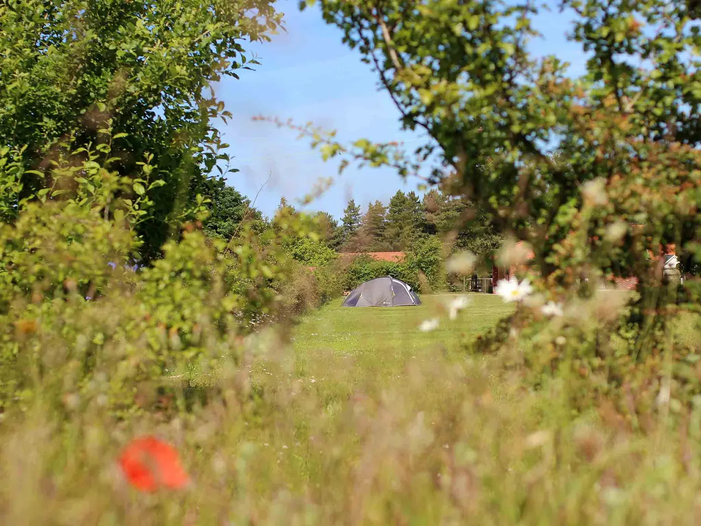 Deepdale Camping & Rooms photo 3
