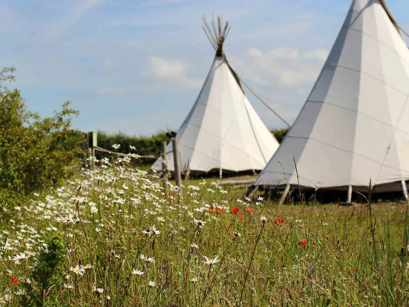 Deepdale Camping & Rooms photo 2