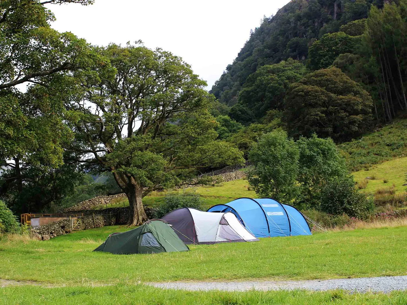 Chapel House Farm Campsite photo 3