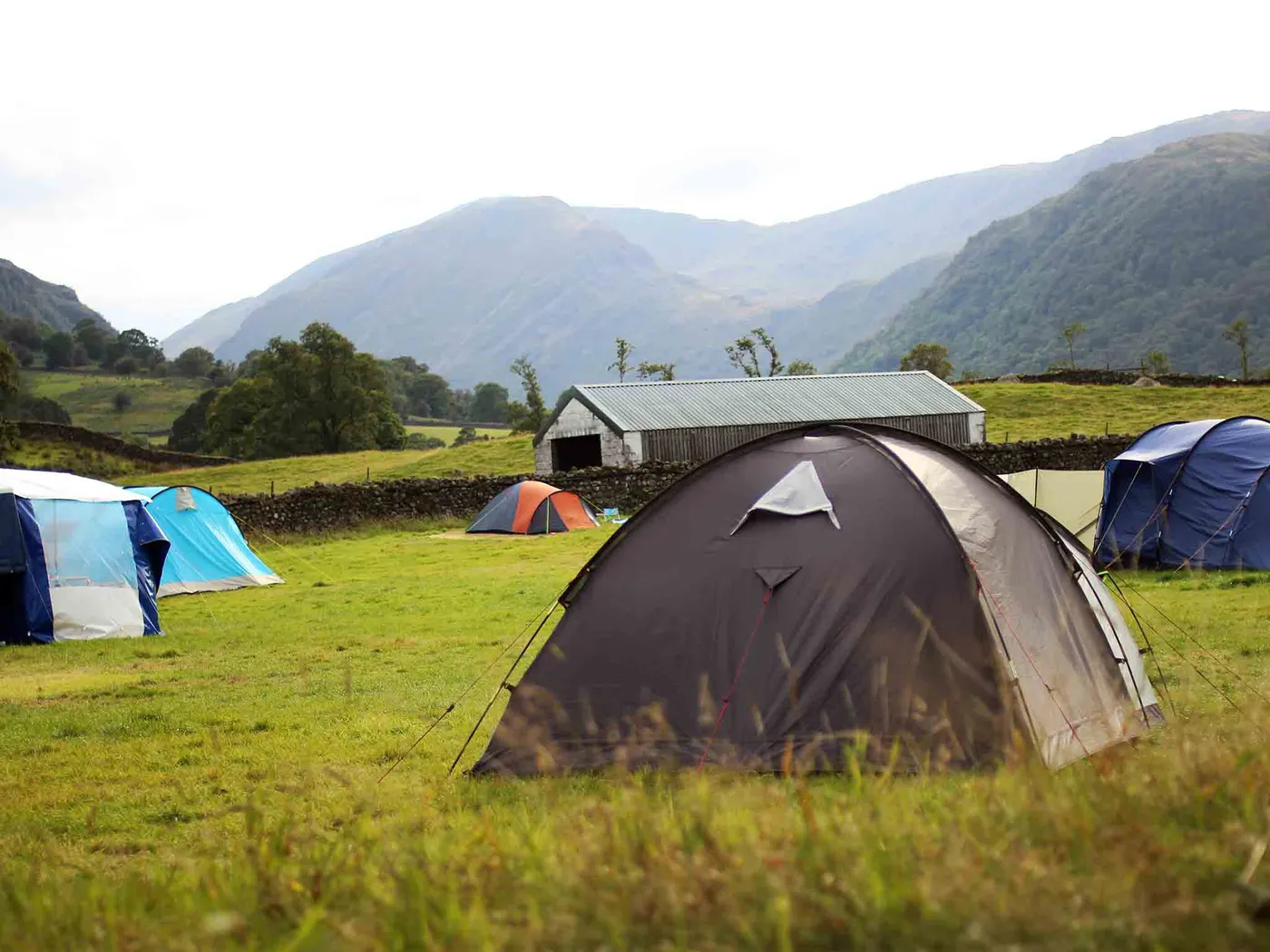 Chapel House Farm Campsite photo 4