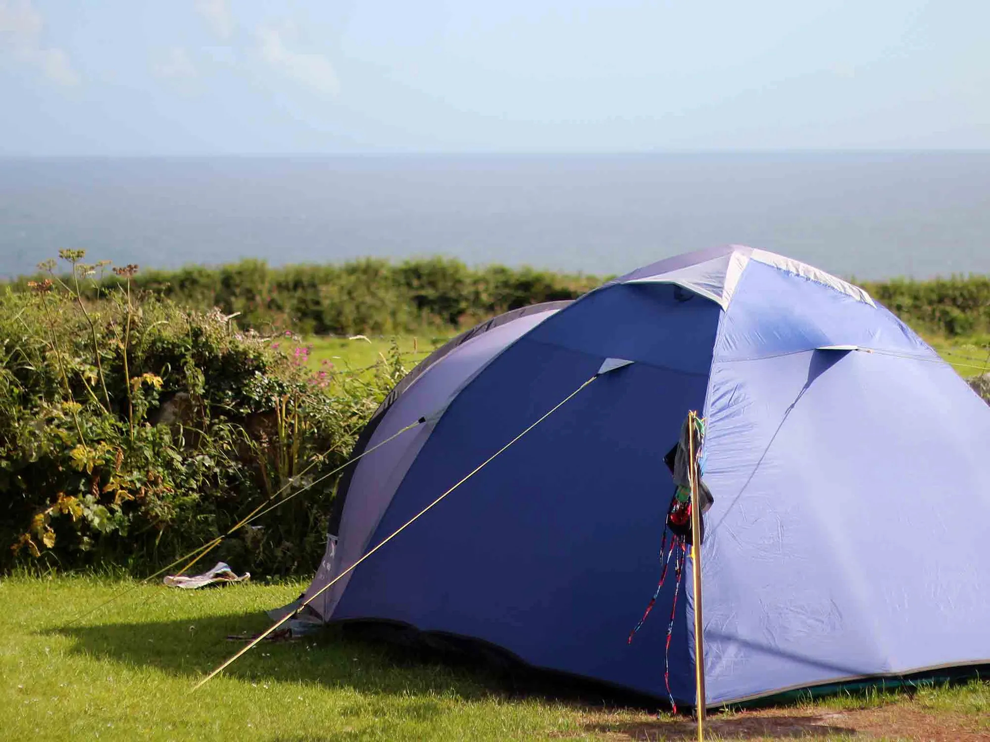 Treen Farm Campsite