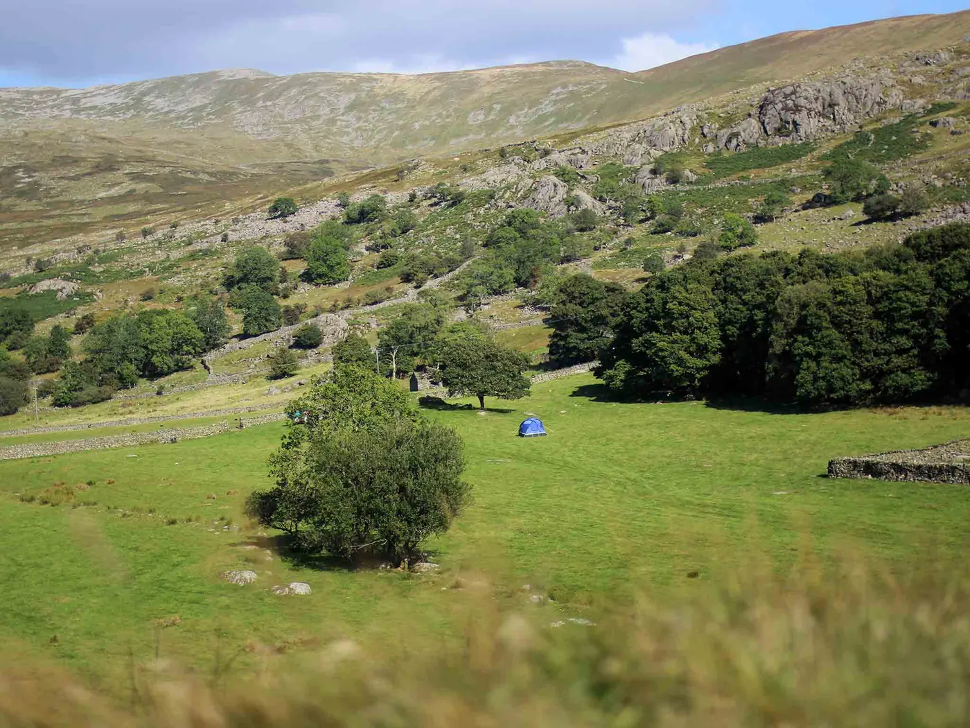 Turner Hall Farm Campsite photo 5