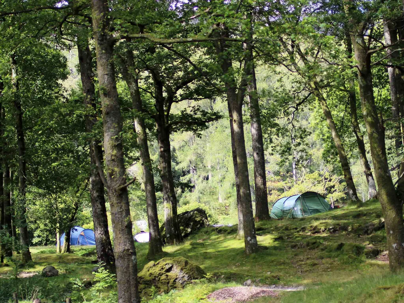Hollows Farm Campsite photo 3