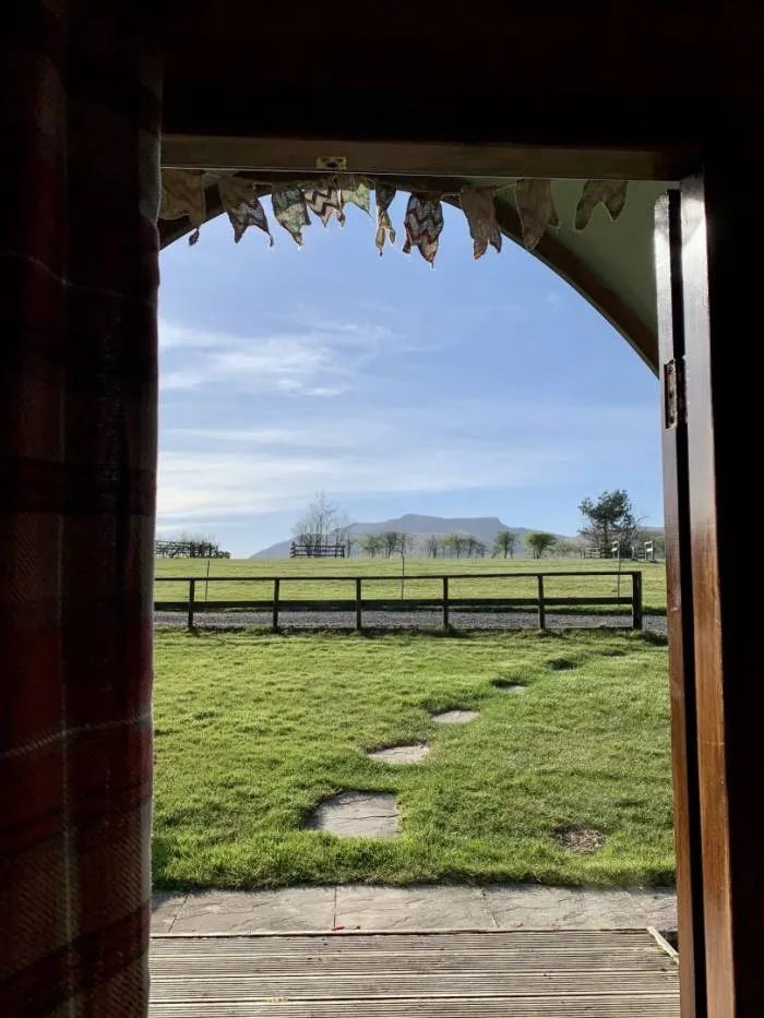 Gill Head Farm photo 3