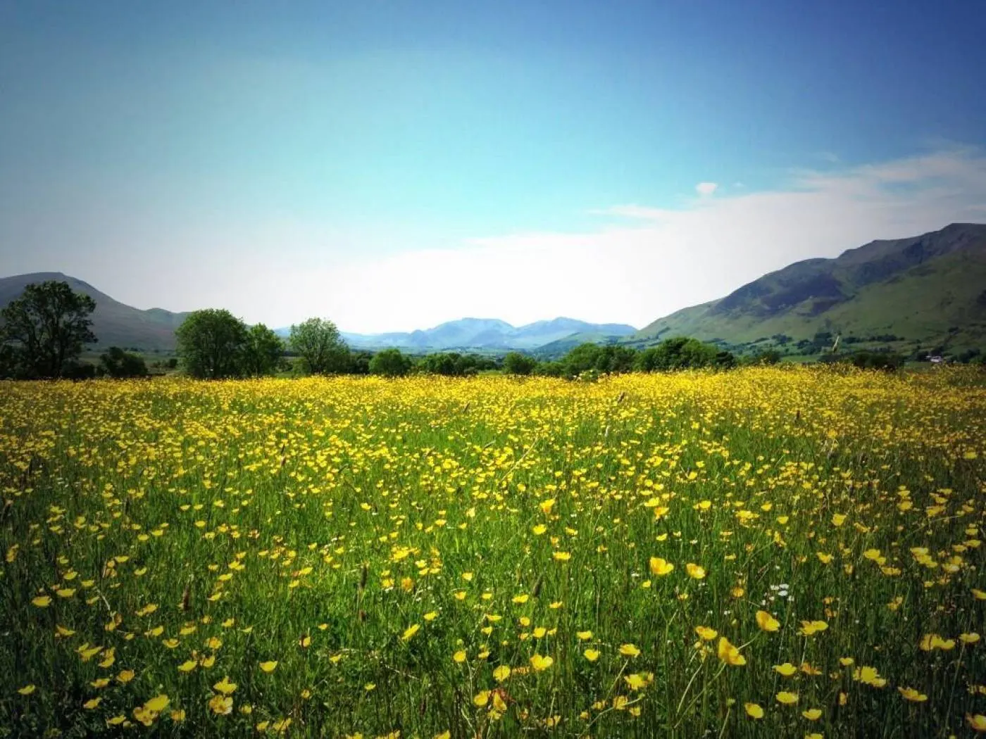 Gill Head Farm photo 2