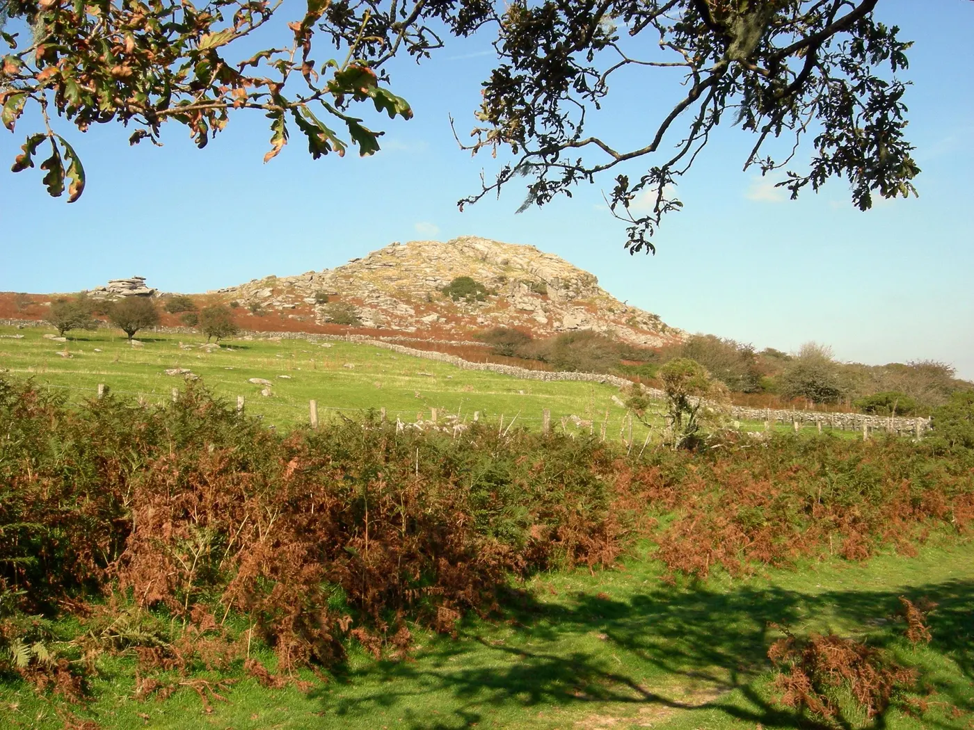 Cheesewring Farm Campsite photo 3