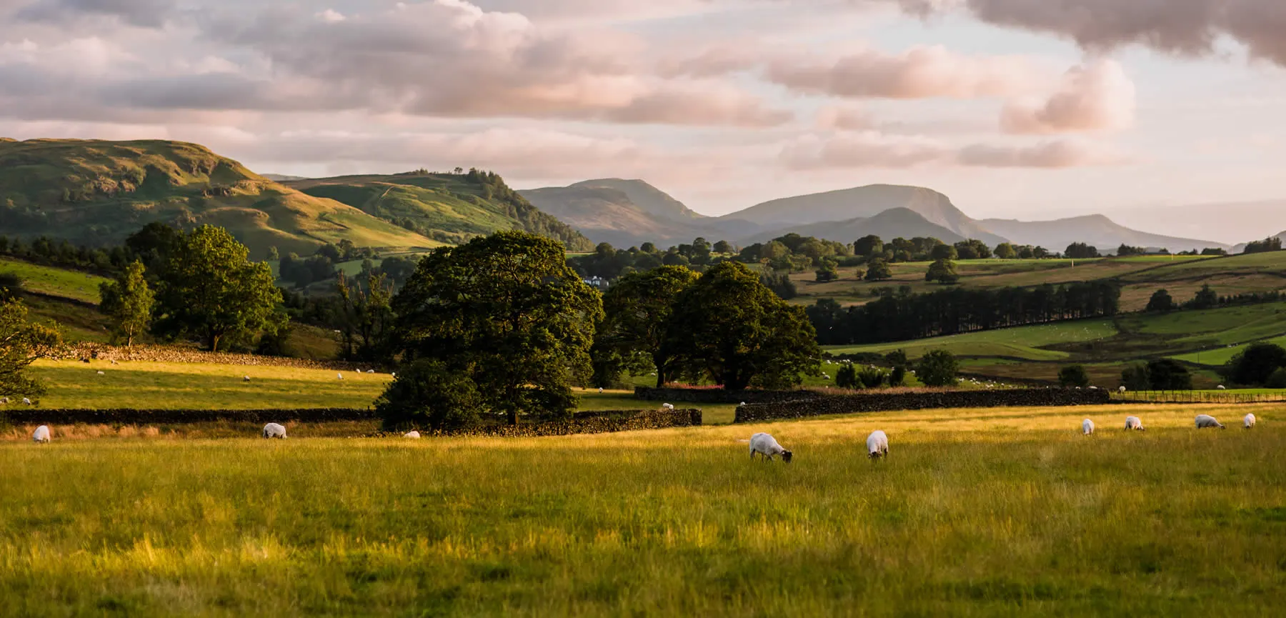 Burns Farm Caravan Site, site landscape